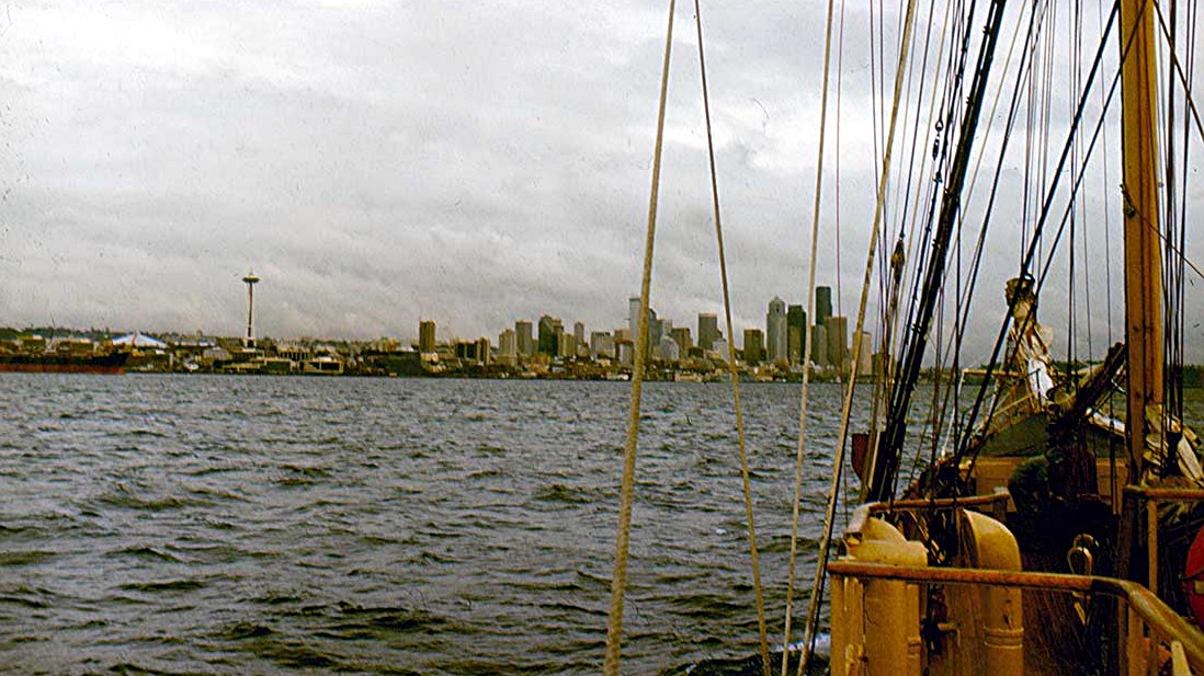 5 Zawisza Czarny Seattle