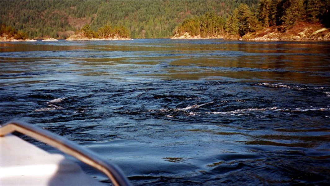 14 2001.01 Princess Louisa (600)